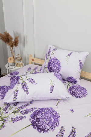 80a4c200-adb5-4d46-bdee-ff0b7933bb9f